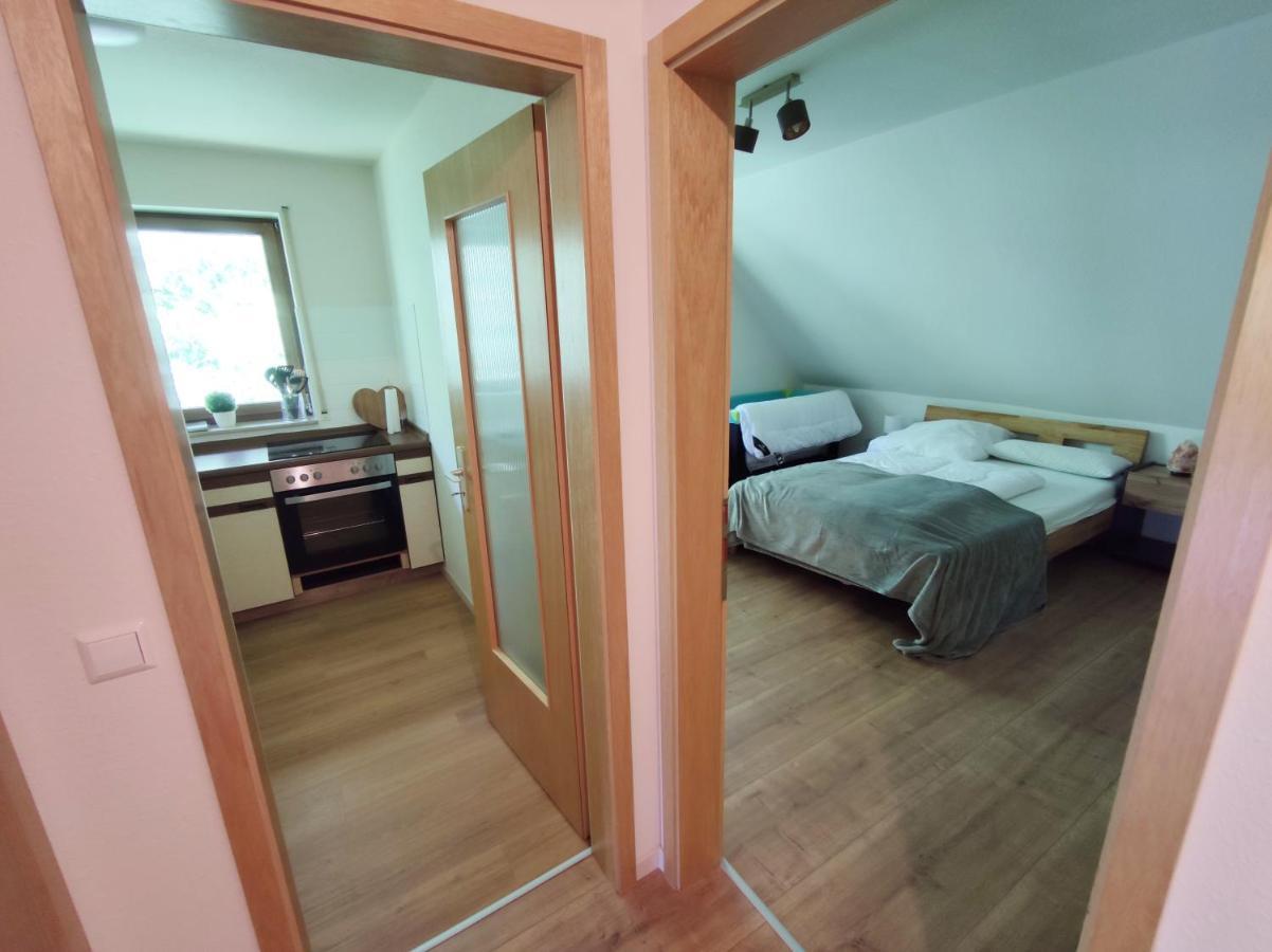 Apartmán Black Forest Living - Todtnauberg Exteriér fotografie