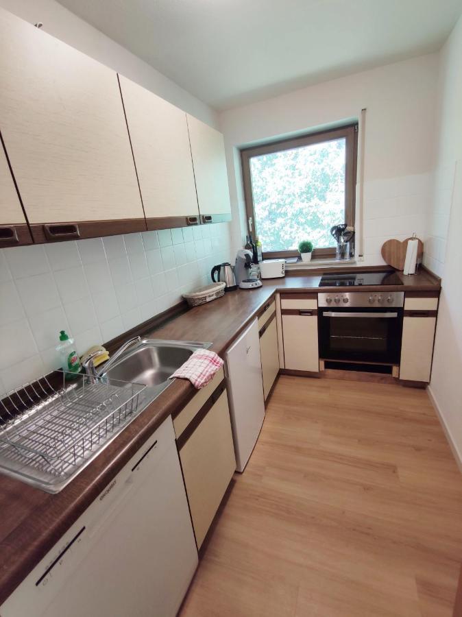 Apartmán Black Forest Living - Todtnauberg Exteriér fotografie