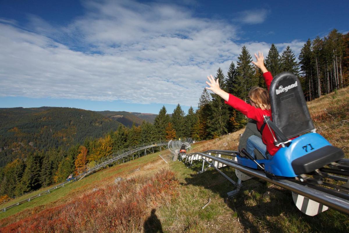 Apartmán Black Forest Living - Todtnauberg Exteriér fotografie