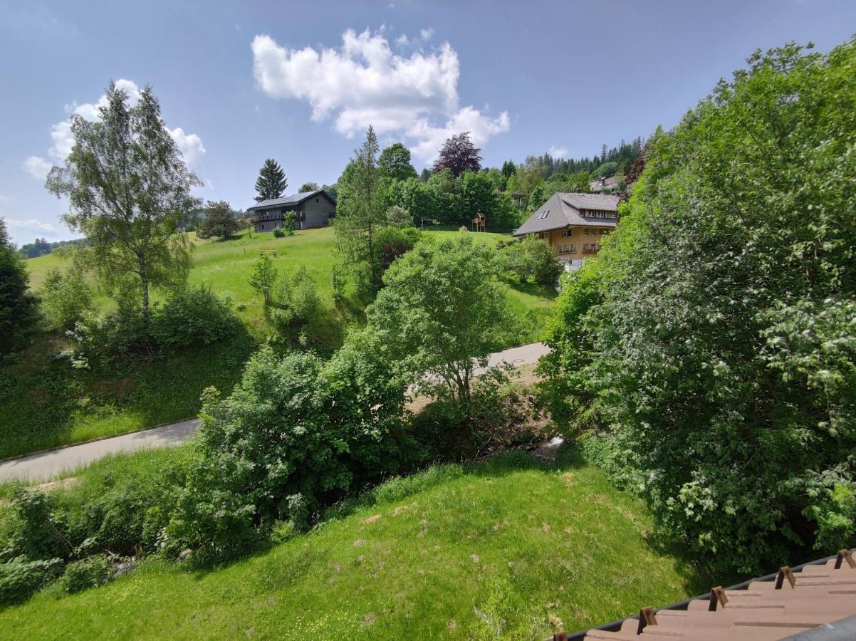 Apartmán Black Forest Living - Todtnauberg Exteriér fotografie